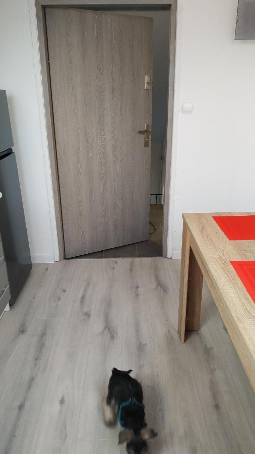 Apartament Witkacego Zielony Slupsk Exterior photo