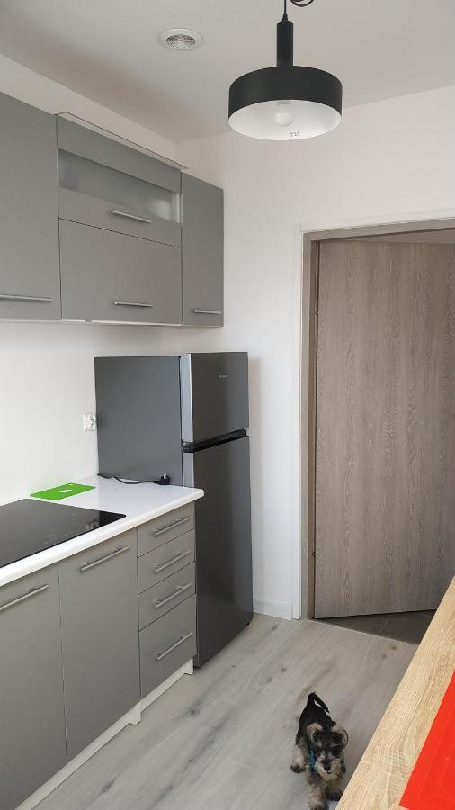Apartament Witkacego Zielony Slupsk Exterior photo